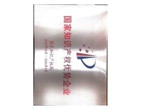 國家知識產(chǎn)權(quán)優(yōu)勢企業(yè)